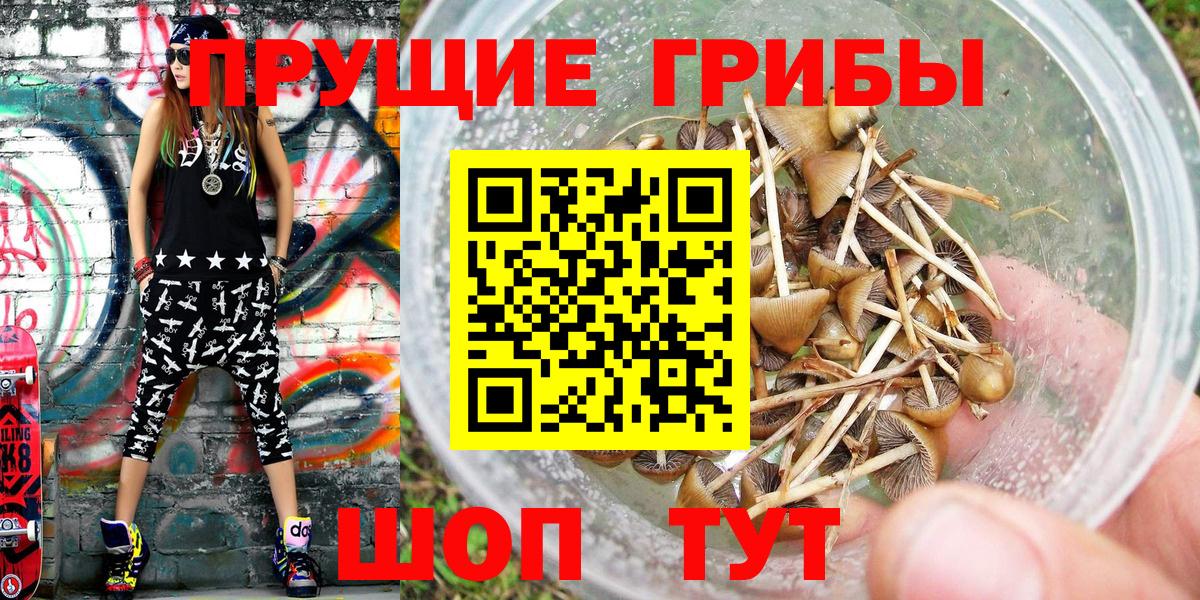 Псилоцибиновые грибы мицелий  Вход с VPN  Галлюциногенные грибы мухоморы  Кингисепп 