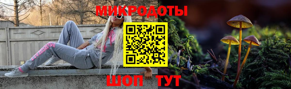 Галлюциногенные грибы Magic Shrooms Кингисепп