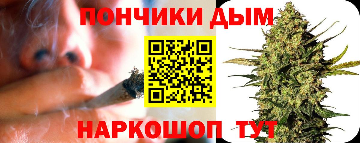Бошки Шишки Amnesia Кингисепп